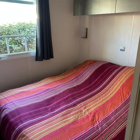 Mobil-home キャンプ場